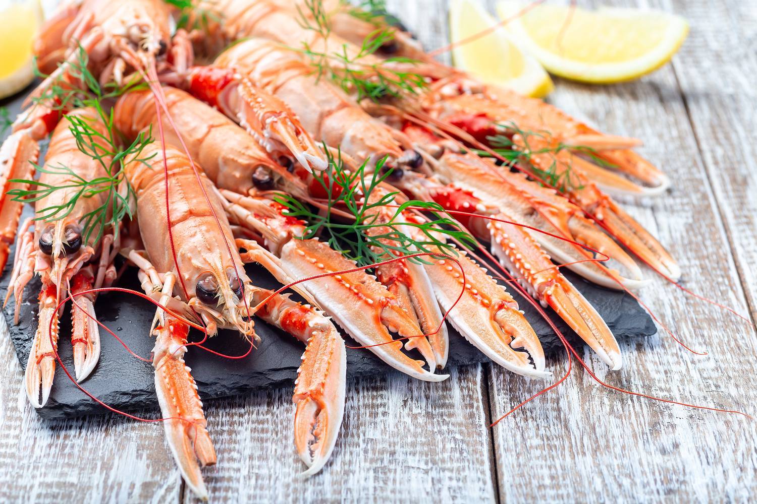 Plateau de langoustine