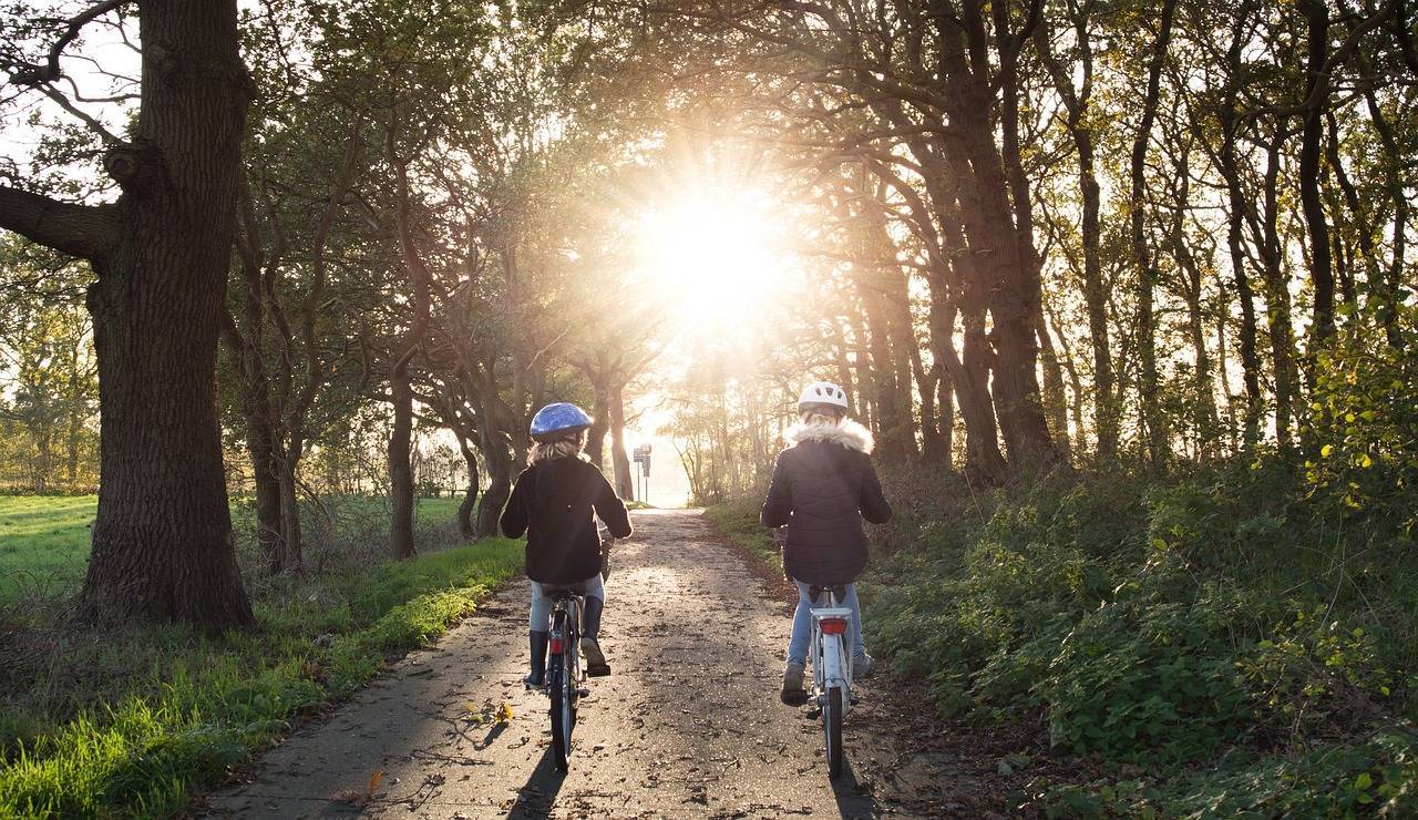 Balade dans le bois de Roscouré près de Quimper - Manoir de Kerhuel Plonéour Lanvern